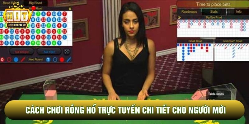 Sơ lược về cách chơi Rồng Hổ Sơ lược về cách chơi Rồng Hổ