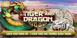 Cách Chơi Rồng Hổ - 3 Kiến Thức Đổi Thưởng Quan Trọng