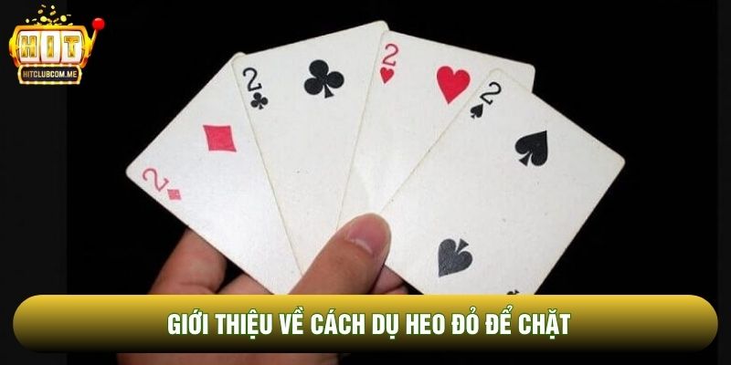 Giới thiệu về cách dụ heo đỏ để chặt Giới thiệu về cách dụ heo đỏ để chặt