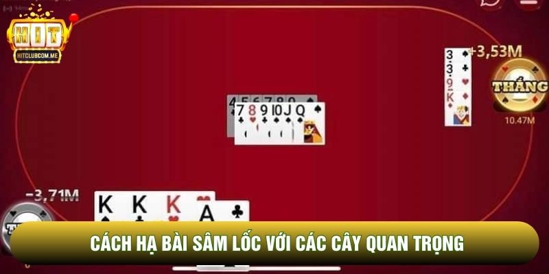 Tổng quan chung về cách hạ bài sâm lốc Tổng quan chung về cách hạ bài sâm lốc