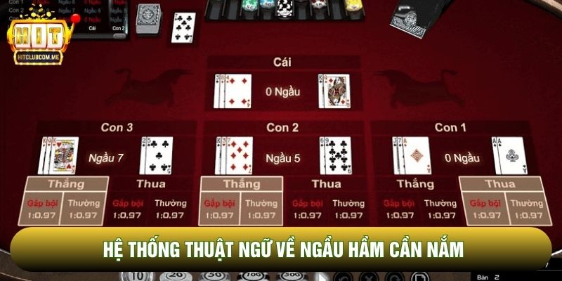 Hệ thống thuật ngữ về ngầu hầm cần nắm Hệ thống thuật ngữ về ngầu hầm cần nắm