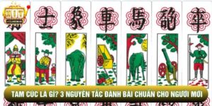 Tam Cúc Là Gì? 3 Nguyên Tắc Đánh Bài Chuẩn Cho Người Mới