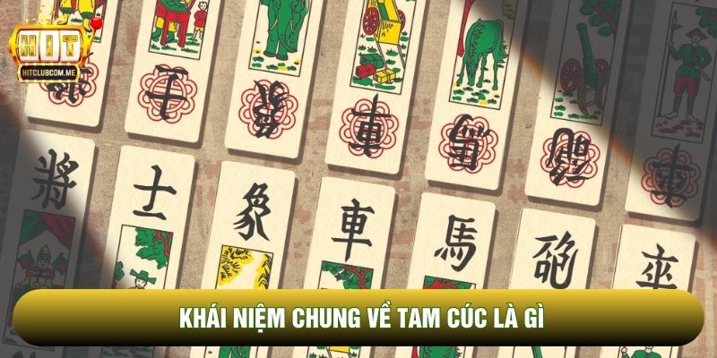 Khái niệm chung về tam cúc là gì