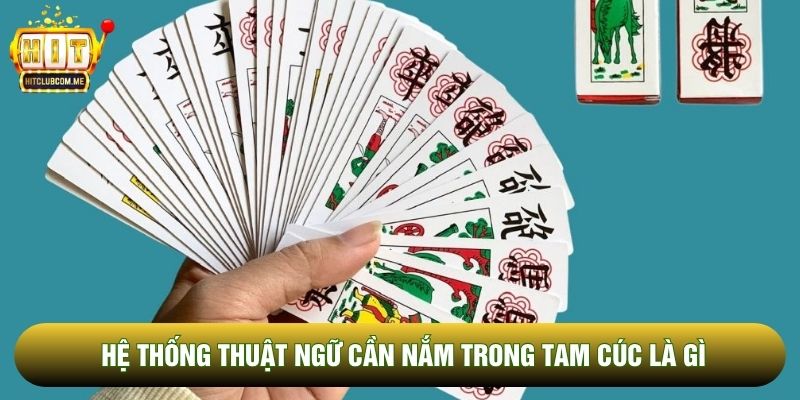 Hệ thống thuật ngữ cần nắm trong tam cúc là gì