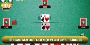 Tới Trắng Sâm Lốc - Khái Niệm Và 3 Bí Quyết Thắng Lớn