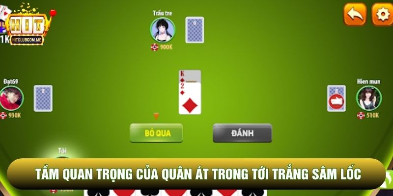 Tổng quan chung về Tới trắng Sâm Lốc Tổng quan chung về Tới trắng Sâm Lốc